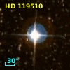 HD 119510