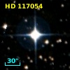 HD 117054