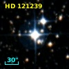 HD 121239