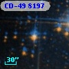 CD-49  8197
