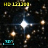 HD 121308