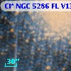 Cl* NGC 5286     FL V13