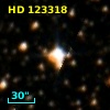 HD 123318