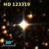 HD 123319