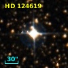 HD 124619