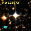 HD 123973