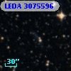 LEDA 3075596
