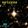 HD 123334