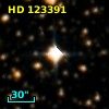 HD 123391