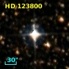 HD 123800