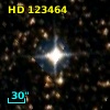 HD 123464