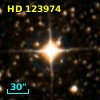 HD 123974