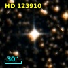 HD 123910