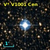 V* V1001 Cen