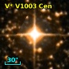 V* V1003 Cen