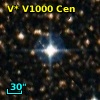 V* V1000 Cen