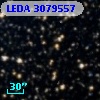 LEDA 3079557
