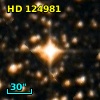 HD 124981