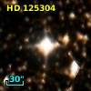 HD 125304