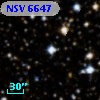 NSV  6647
