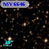 NSV  6646