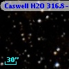 Caswell H2O 316.8-00.1