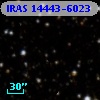 IRAS 14443-6023