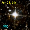 V* CR Cir