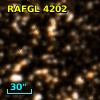 RAFGL 4202