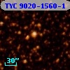 TYC 9020-1560-1