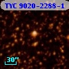 TYC 9020-2288-1