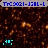 TYC 9021-1501-1