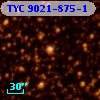 TYC 9021-875-1