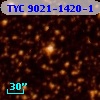 TYC 9021-1420-1