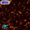 IRSV 1503-6020