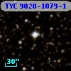 TYC 9020-1079-1