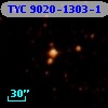 TYC 9020-1303-1