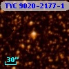 TYC 9020-2177-1