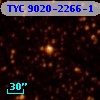 TYC 9020-2266-1