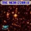 TYC 9020-2299-1
