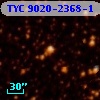 TYC 9020-2368-1