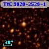 TYC 9020-2528-1