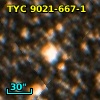 TYC 9021-667-1
