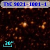 TYC 9021-1001-1