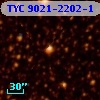 TYC 9021-2202-1