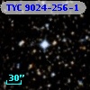 TYC 9024-256-1