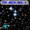 TYC 9024-966-1