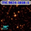TYC 9024-1010-1
