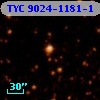 TYC 9024-1181-1