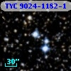 TYC 9024-1182-1
